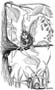disegno003