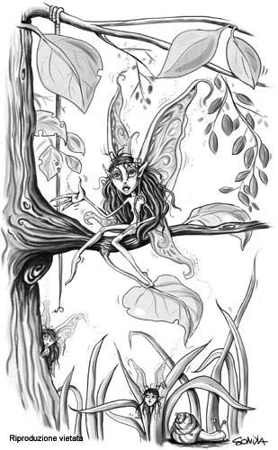 disegno003